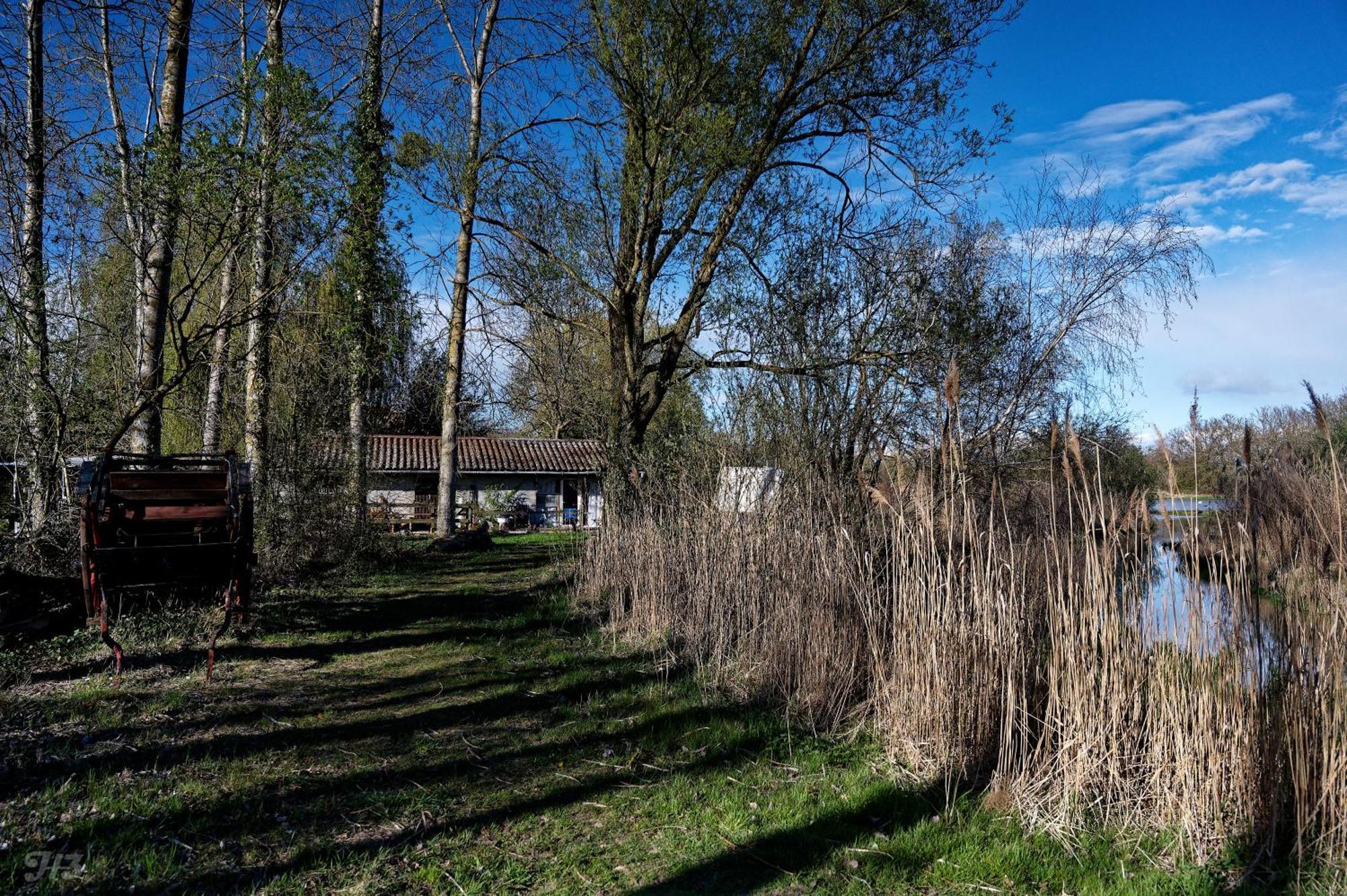 Espace Nature Studio Independant Proche Du Parc Des Oiseaux Sainte-Olive Exterior foto